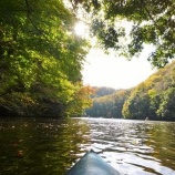 ��11��3Ϣ�١������й��ե���å��ĥ����٤β���