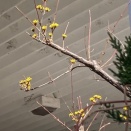 2026.3/1（日）の夕ご飯です