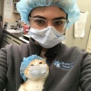 外国人「働いてる猫の愉快な写真を世界から集めてみたｗｗｗｗ」