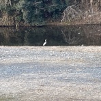 ブログあれこれ