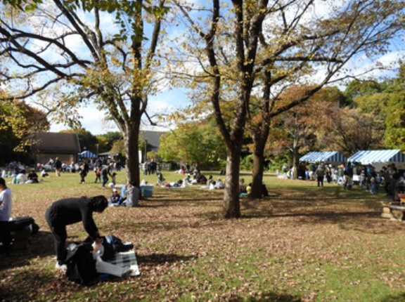 里地里山フェスを開催しました