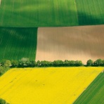 まんてんブログ