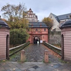 Politologue Sans Frontieres 「国境なき政治学者」