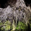 【座間２りんかん】チェーンってどうなっていますか？