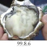 『創造の正体（5600回記念）（23）常識と非常識（22）』の画像