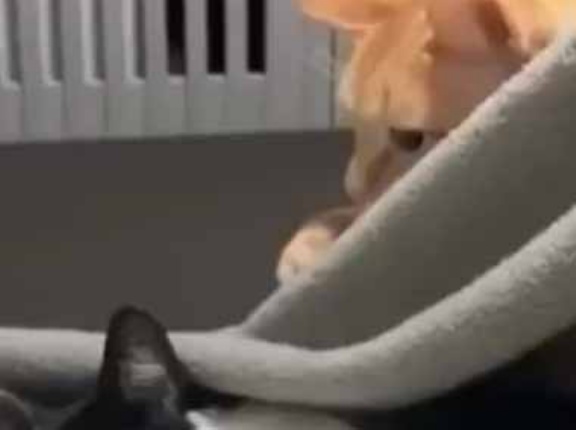 かわいい子が寝ていた。彼はちょっかいを出したくなった → こうなります…