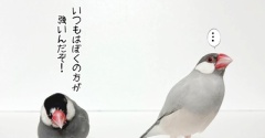 ペレット事情がまた変化しました