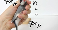 元気に喧嘩をする我が家のボーイズ