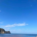 トンボ帰りには訳がある