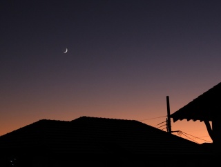 楽天SS＊大物を立て続けに！お財布が震えてるけど逃げられなかった…！