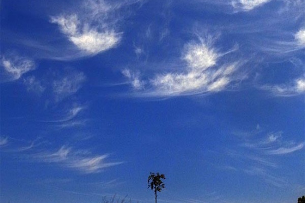 呉のメバル師 13年04月