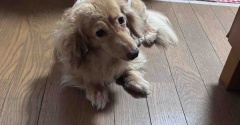 夏バテ？