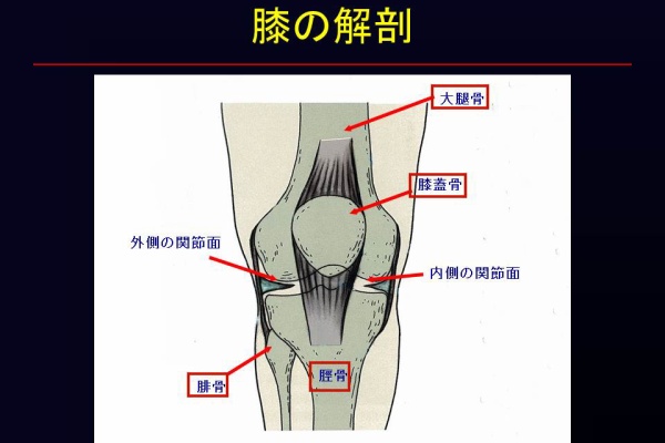 膝関節鏡外科医のblog 2013年06月