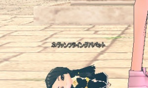 高額修理費フライングパペット…