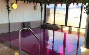 【東北】温泉★ラーメン日和