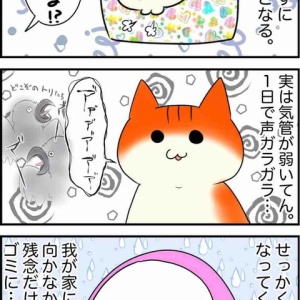 4コマ】真似されたり真似したり。 : デブでオタクで独身だけど猫がいる！