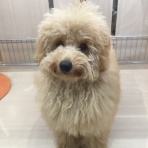 沖縄県うるま市　ワンラブ　カインズABLOうるま店　ブログ