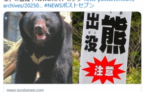 《またもクレーム殺到》「クマを殺すな」「クマがいる土地に人間が住んでるんだ！」