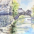 2026.02.21 水彩画サークル「彩友会」本日の状況