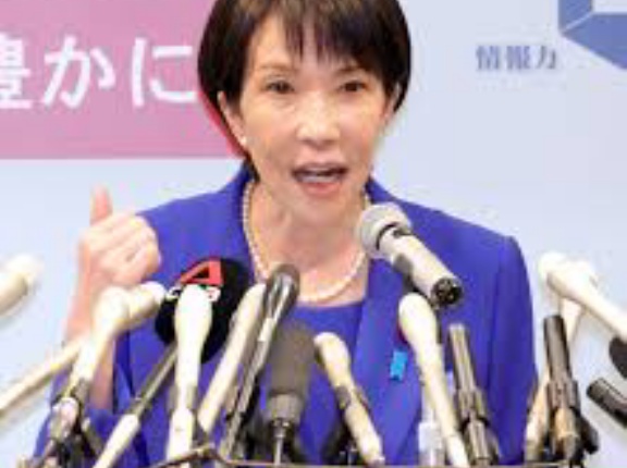 高市政権　メガソーラーを中止！国民を騙した巨悪を全員逮捕！他ショート動画