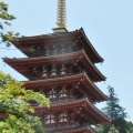 高幡不動尊へドライブ