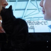 映画「冬のソナタ」を観てきました。