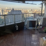 おてんば88歳・・日々録