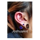 ボディーピアス、ヴァーティカルインダストリアル、インナーコンク→ヘリックス