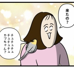 その台詞、気に入ったのでいただこう