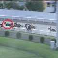 8/8 川崎 翡翠賞ダ1500m【ボールドポリシー《3戦目》】