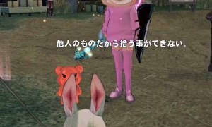 遺棄されtanasinn...：( ・)∴∴.( ・)∵