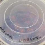 『順番が前後してしまいましたが、2015年の自家製梅干しの仕込み～♪』の画像