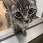 群馬県伊勢崎市　ワンラブ　カインズ伊勢崎店ブログ