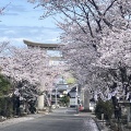 30日目　2025年４月3日（木）曇り時々晴れ
