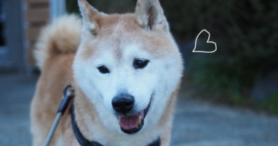 ヨロヨロなのに猛ダッシュ！って？？