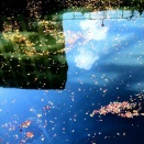 ＜なんとかしなきゃならん作戦＞