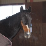 『プラス気温』の画像