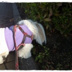 いつまでも一緒だよ♪