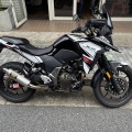 SUZUKI V-Strom 250SX の貼付けサービスをご利用頂きました!
