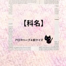 【クイズ:00116】科名とアンゼリカシード