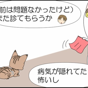 ごまちゃん、病院へ①