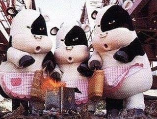 心臓に毛が生えるお年頃？シニアの仕事はテキトー^^;