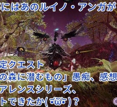 【NGS】期間限定クエスト「歪みの森に潜むもの」の感想、愚痴まとめ( •᷄ὤ•᷅ )　なお固定のクリア時間は相当早いらしい【令和版アンガ】