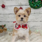 わん１００（ワンハンドレッド）四街道店