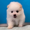 こんにちは♪