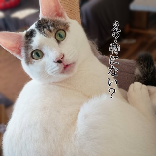 moroのハンドメイド