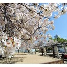 桜ノ宮と鞍作公園