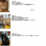 ニャンニャンみずほ　地域猫の会
