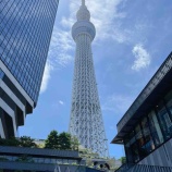 『【東京都】～品川・柴又・浅草観光～』の画像