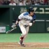 【朗報】日ハム王柏融、チーム内で友達ができる 	